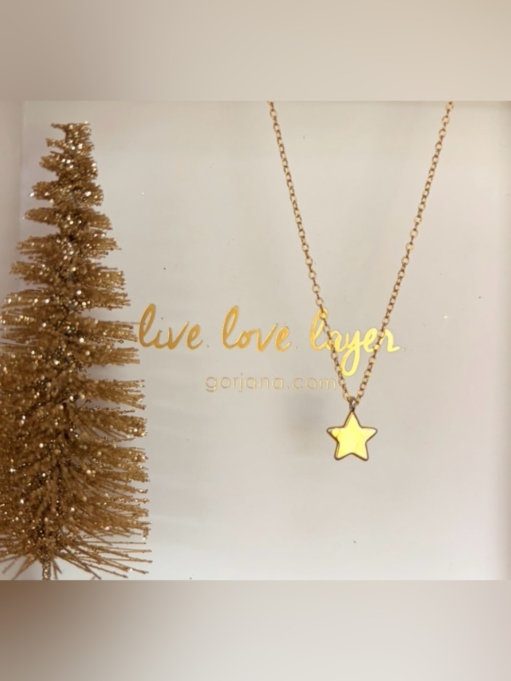 ⭐️Gorjana Gold Star Charm Necklace